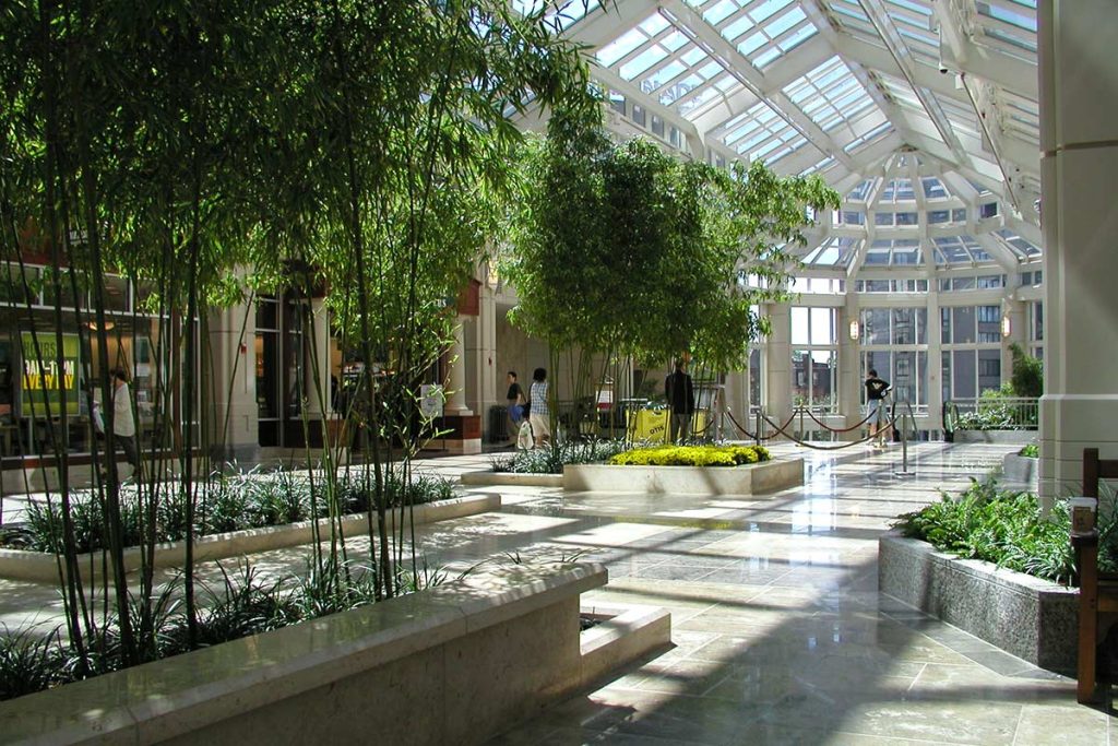 central-nurseries-services-interiorscapes-001